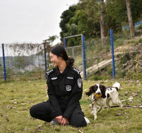 警花与警犬-在线观看,热血守护,共筑平安防线 第3张 警花与警犬-在线观看,热血守护,共筑平安防线 第3张