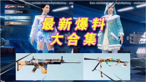 吃鸡爆料服装大全最新,最新服装大全大揭秘,潮流装备一网打尽! 第2张 吃鸡爆料服装大全最新,最新服装大全大揭秘,潮流装备一网打尽! 第2张