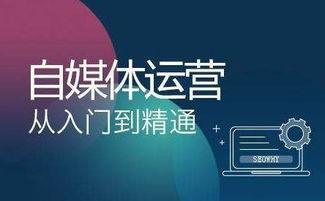 如何剪爆料视频赚钱,轻松剪爆热门视频，月入过万不是梦  第2张