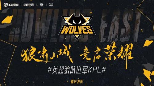 狼队骄傲爆料视频,独家爆料视频背后的故事  第3张