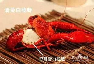 四毛龙虾爆料怎么做视频,揭秘视频制作背后的秘密  第3张