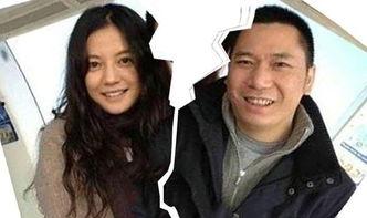 欧美娱乐圈爆料离婚,明星夫妻档纷纷解体，真相背后引人深思  第3张