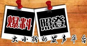 看一下新闻爆料,揭秘事件背后真相  第1张 看一下新闻爆料,揭秘事件背后真相  第1张